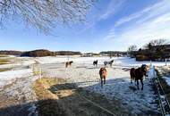 Charmantes Wohn- und Reiterensemble auf ca. 5.270 m² – Ihr privates Refugium im Seenland