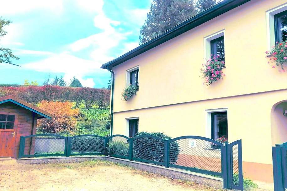 Solide Kapitalanlage: Haus mit 179m² Wohnfläche und lebenslangem Wohnrecht, Haus-kauf, 390.000,€, 3032 Sankt Pölten(Land)