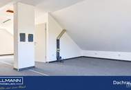 ALTES HAUS. GROSSE PLÄNE. – 774 m² Eigengrund mit Zukunft in Rodaun! | ZELLMANN IMMOBILIEN
