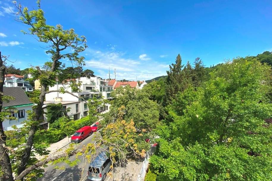 2 Zimmer DG-Wohnung - Erstbezug nach qualitativ hochwertiger Komplettsanierung - plus hof- und straßenseitige Terrasse, Wohnung-kauf, 265.000,€, 1190 Wien 19., Döbling