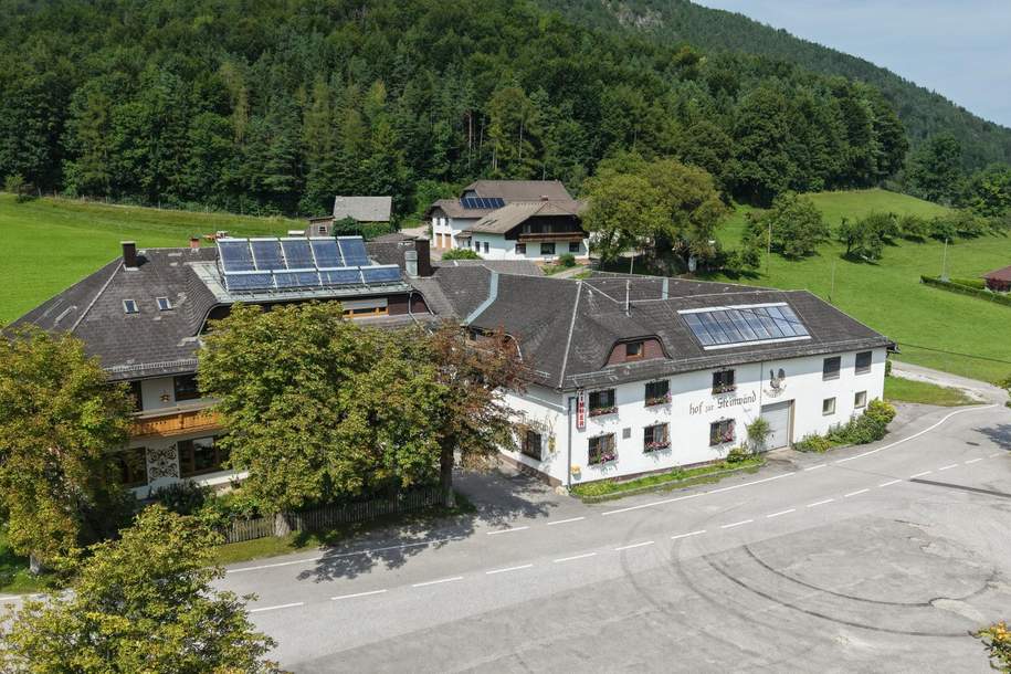 "Hof zur Steinwänd" Gasthof und Bauernhof mit Fremdenzimmern - Wald und Wiesen mit herrlichen Naturplätzen!, Gewerbeobjekt-kauf, 5.800.000,€, 4563 Kirchdorf an der Krems