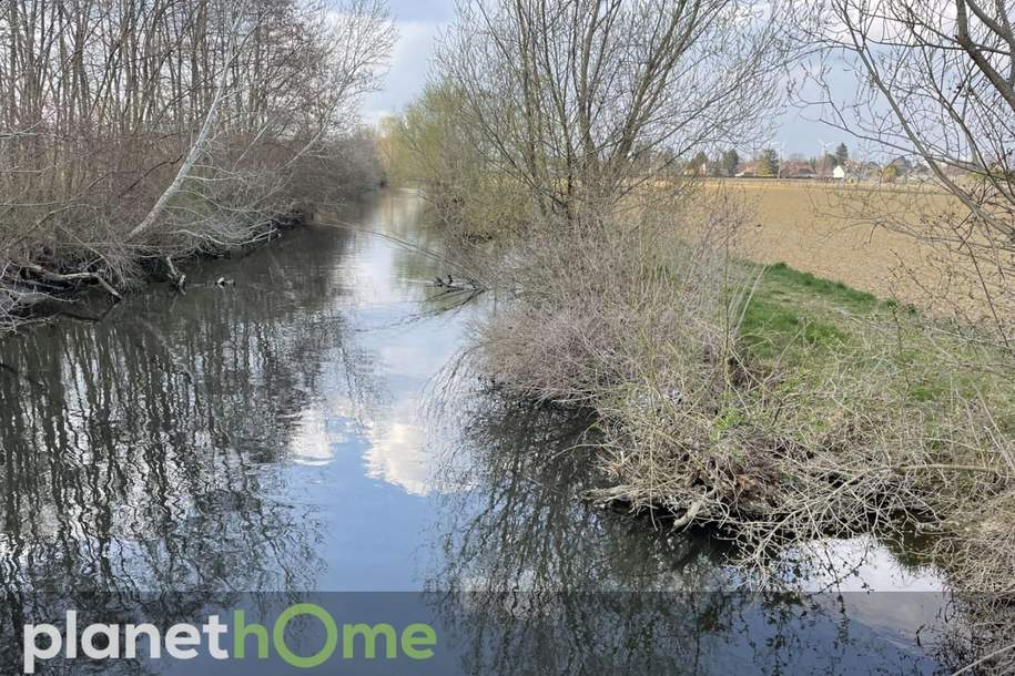 Hier könnte Ihre morgendliche Laufstrecke beginnen, Grund und Boden-kauf, 309.000,€, 2486 Baden