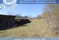 Zum Ausbau freigegeben: altes Bauernhaus + riesiges Grundstück!