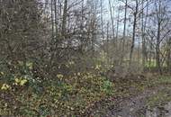 Ebenerdiges Ackerland mit Brache