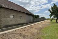 Weinviertler Haus mit großen Grundstück