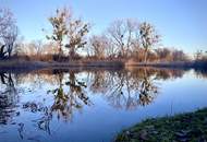 Mühlwasser I PREISREDUZIERTES baubewilligtes PROJEKT I SOFORT umsetzbar!