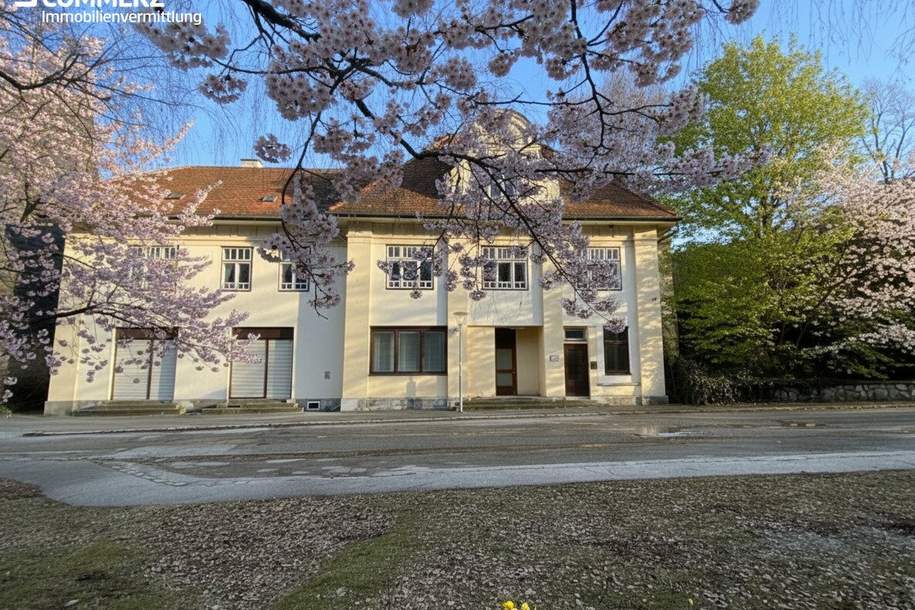 Zinshaus mit Charme, Gewerbeobjekt-kauf, 380.000,€, 2651 Neunkirchen