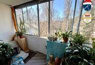 Nahe Casino Baden! vermietete (bis 31.10.26) Dachgeschoßwohnung in Top-Lage: 1 Zimmer, Loggia & Grünblick zum Kurpark Baden, Niederösterreich für nur 149.999,00 €!