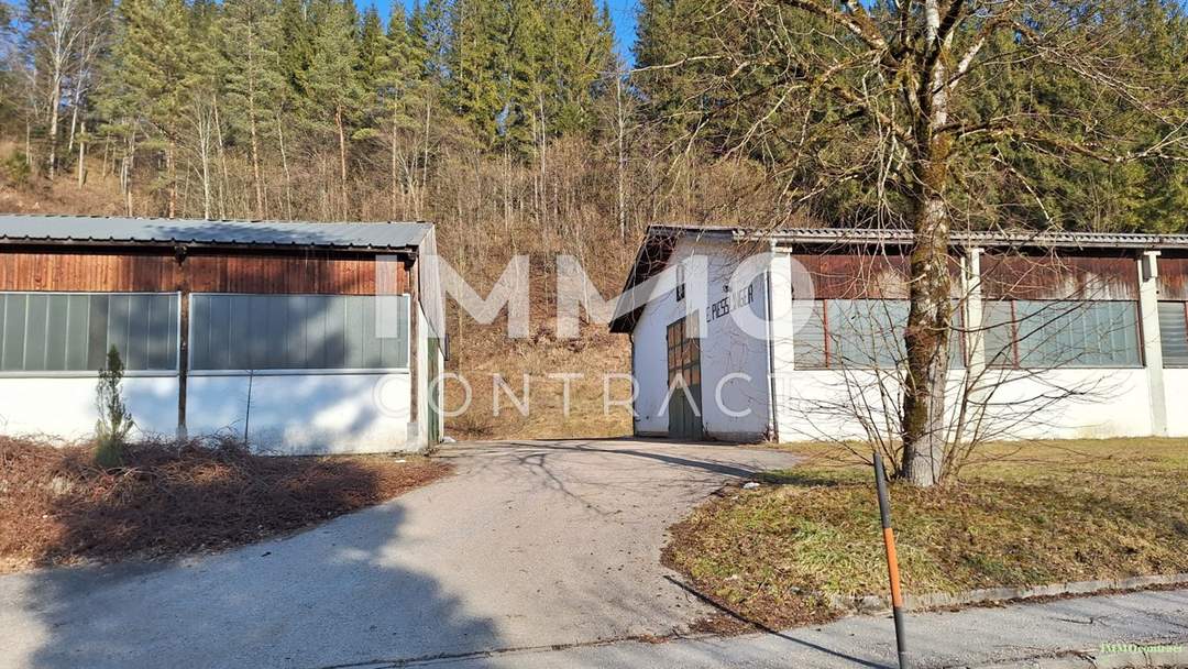 Lager-, Montage- u.o. Produktionshallen mit Freiflächen in Opponitz - Ybbstal