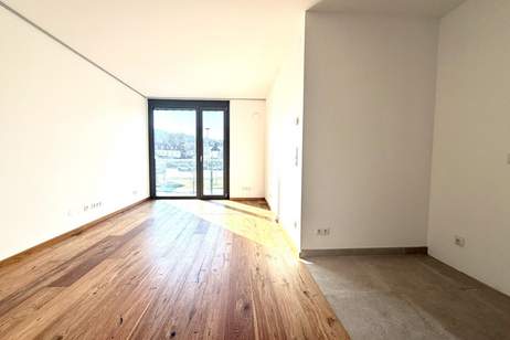 PROVISIONSFREI ! Exklusive Eigentumswohnungen mit Freifläche , Erstbezug Nachhaltig, Wohnung-kauf, 225.700,€, 2344 Mödling