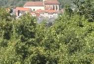 Grünland mit Zufahrt und Aussicht