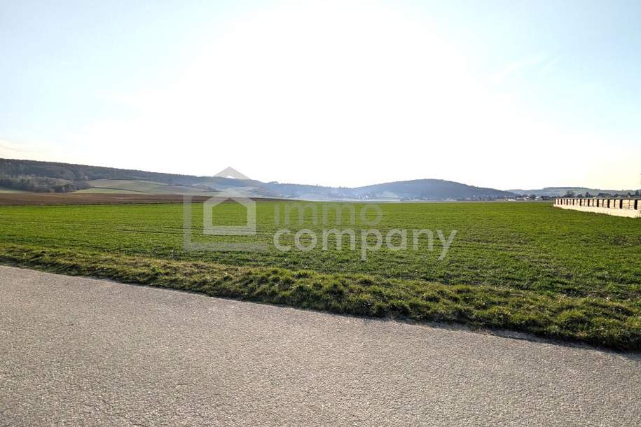 Sonniger sehr ruhiger Baugrund über der Hochwassergrenze, Grund und Boden-kauf, 187.900,€, 3441 Tulln