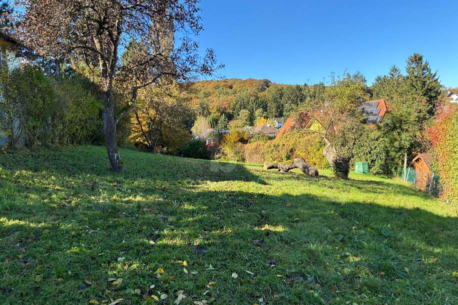 HERRLICH MIT BERG- UND WALDBLICK, Grund und Boden-kauf, 490.000,€, 2384 Mödling