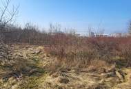 Gewerbegrundstück Wels, eingeschränkt gemischtes Baugebiet