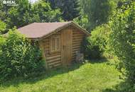 Sommer am Neufeldersee