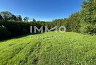 Erholung pur im eigenen Wald mit Bach und Wiesen nähe Amstetten