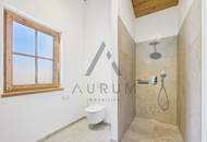 Miete: Neubau Penthouse-Wohnung