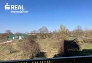 Abendsonne und freier Grünblick – 3 Zimmer mit großem Balkon