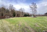 Waldfläche in St. Florian zu verkaufen!