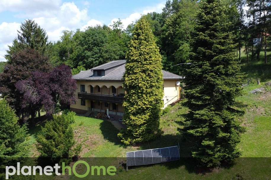Vielseitige Landvilla im Grünen – Großzügig, einzigartig, in Ruhelage!, Haus-kauf, 490.000,€, 7545 Güssing