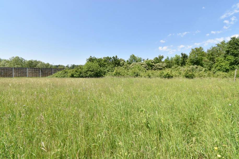 Aufgeschlossenes 1.998 m² Baugrundstück in entspannter Siedlungslage!, Grund und Boden-kauf, 250.000,€, 4522 Steyr-Land