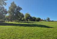 Wunderschöner Dreikanthof in Ruhelage mit Reithalle