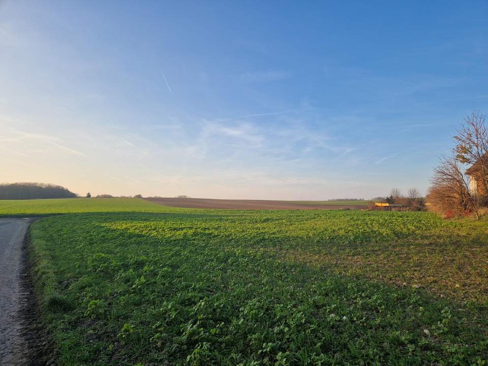 PROJEKTENTWICKLER AUFGEPASST: BAUBEWILLIGUNG FÜR ZWEI DOPPELHÄUSER INKLUDIERT: BAUEN UND WOHNEN MIT AUS- UND FERNBLICK DIREKT AN FELDER ANGRENZEND IM NAHBEREICH VON WIEN UND KORNEUBURG