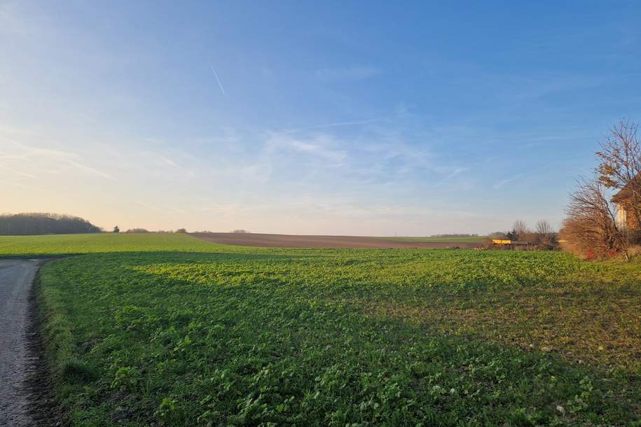 PROJEKTENTWICKLER AUFGEPASST: BAUBEWILLIGUNG FÜR ZWEI DOPPELHÄUSER INKLUDIERT: BAUEN UND WOHNEN MIT AUS- UND FERNBLICK DIREKT AN FELDER ANGRENZEND IM NAHBEREICH VON WIEN UND KORNEUBURG, Grund und Boden-kauf, 675.000,€, 2105 Korneuburg