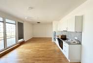 geräumige 2-Zimmer Dachgeschosswohnung mit großer Terrasse und en suite Badezimmer- ab sofort verfügbar