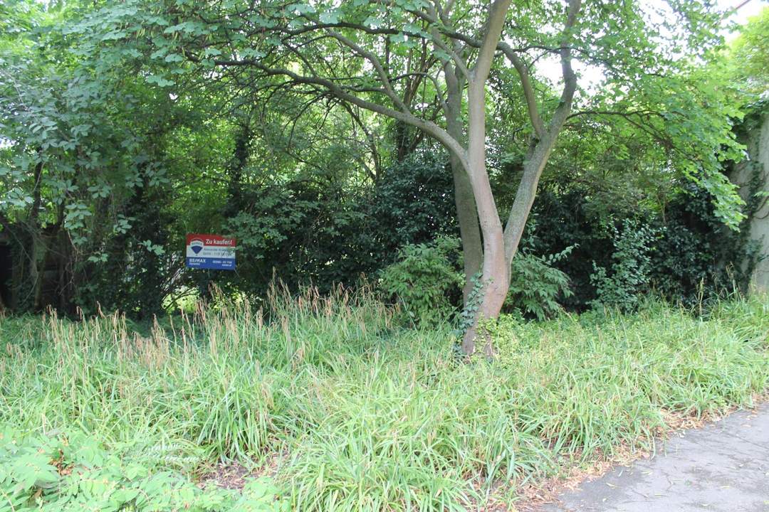 "!!!Baugrund visavis vom Stadtpark!!!"