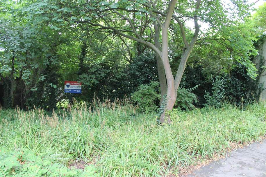 "!!!Baugrund visavis vom Stadtpark!!!", Grund und Boden-kauf, 249.000,€, 2000 Korneuburg