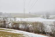 ACKERFLÄCHE &amp; WIESE Teil 1