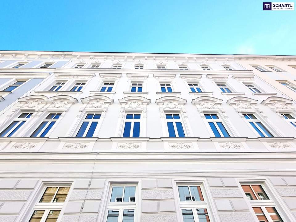 Frühlingsaktion! Ihre Nachbarn werden Sie beneiden... Ein Traum im Dachgeschoss! 2 Terrassen + Schönbrunn-Blick!