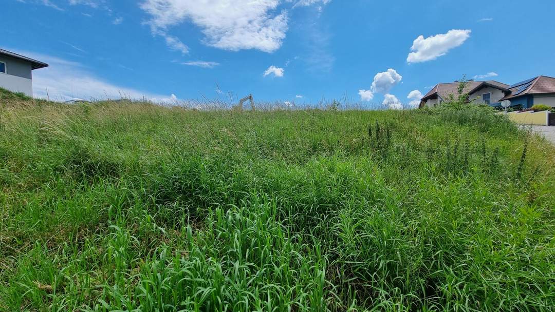 Ihr Traumgrundstück in Strengberg: Idylle und Ruhe in Perfektion