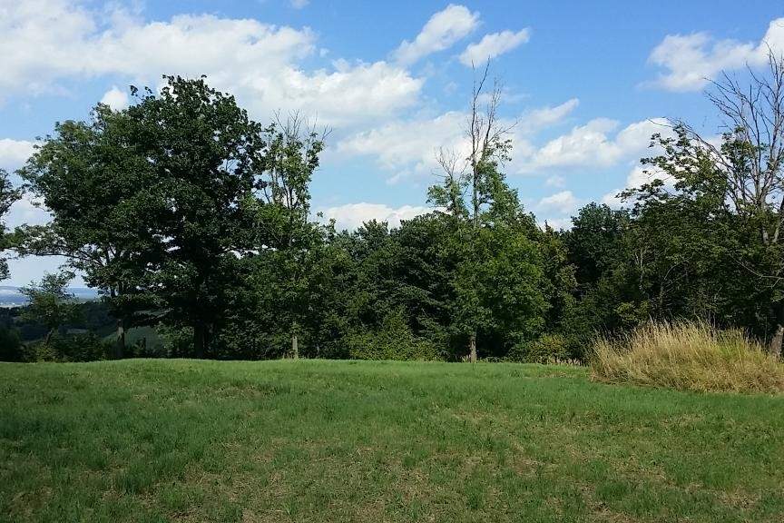 Grünland Tullnerfeld Aussichtslage, Gewerbeobjekt-kauf, 125.000,€, 3434 Tulln