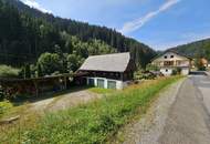 Interessante und ganz und gar nicht alltägliche Liegenschaft mit viel Flair! Wohn/Gasthaus mit Fischteichen und Nebengebäuden