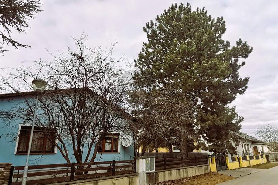 BUNGALOW IN RUHELAGE - GROSSER GARTEN, Haus-kauf, 370.000,€, 2442 Baden