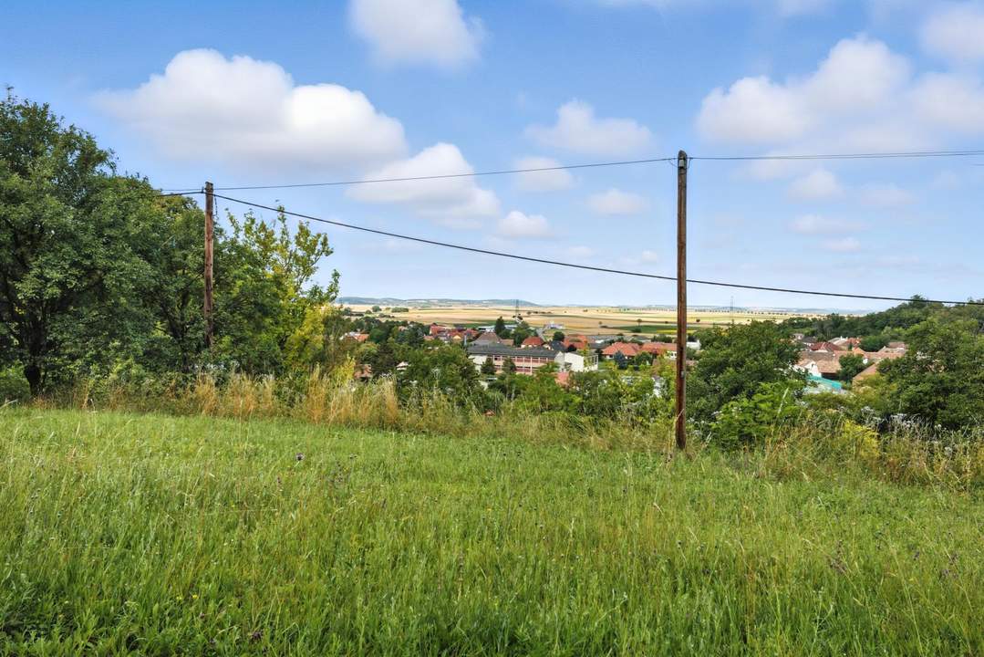Sonniges Grundstück in grüner Ruhelage – Unverbaubar und ideal für Ruhesuchende!