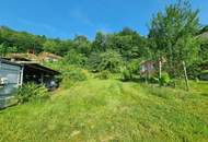 AN DER SONNENSEITE AM WALDRAND!