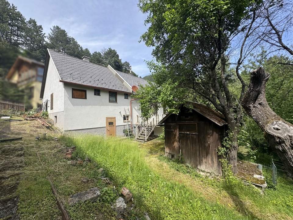 Naturparadies in Grünbach am Schneeberg- Großzügige Liegenschaft in absoluter Ruhelage