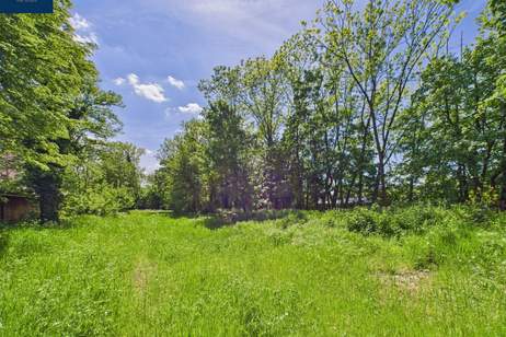 Exklusiver Bauplatz 4 - 504 m² - in NEUNKIRCHEN - Entwicklungsobjekt in Bestlage, Grund und Boden-kauf, 250.000,€, 2620 Neunkirchen