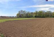 Riesen Potenzial - ca. 1h großes GEWERBEGRUNDSTÜCK 0,3 - 2,0 Dichte mit direkter Nähe zur Autobahn und zur Eisenbahn! Alternativen in der Umgebung auch verfügbar!