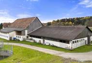 Einzigartige Landwirtschaft mit zwei Wohnhäusern, Wirtschaftsgebäuden, Wald- und Ackerflächen im Lavanttal