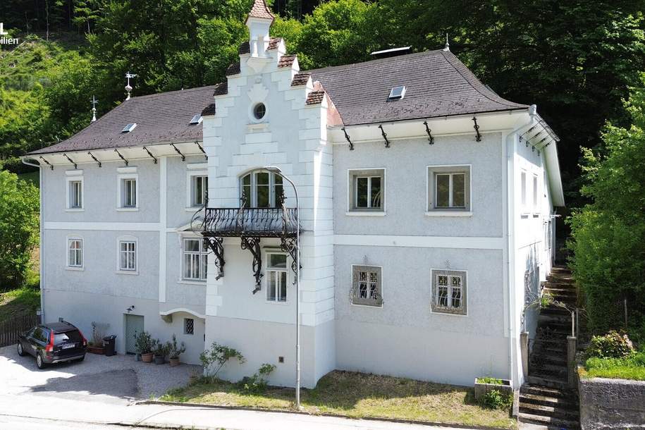 Beeindruckende Hammerherren Villa mit Weinkeller, Haus-kauf, 729.000,€, 3340 Waidhofen an der Ybbs(Stadt)