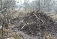Vitis: 2,14ha Grundstück (Wiese &amp; Wald mit Bachlauf): Ideal für ein Teichprojekt