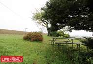 Vielseitiges Gewerbeobjekt mit Top-Rendite: Wohn-, Gewerbe- &amp; Tourismusobjekt im Mühlviertel