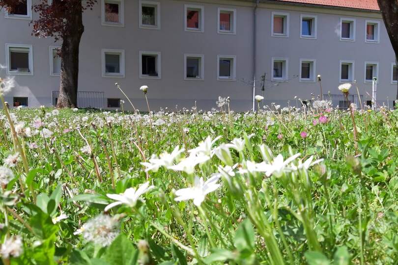 Ruhige Wohnidylle mit Ausblick – lichtdurchflutete 3-Zimmer-Wohnung mit Loggia im obersten Stockwerk und idealer Lage im Herzen von Münichholz!, Wohnung-miete, 556,68,€, 4400 Steyr(Stadt)