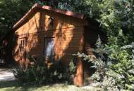 Natur pur - Holzblockhaus eingebettet in sonniger Ruhelage