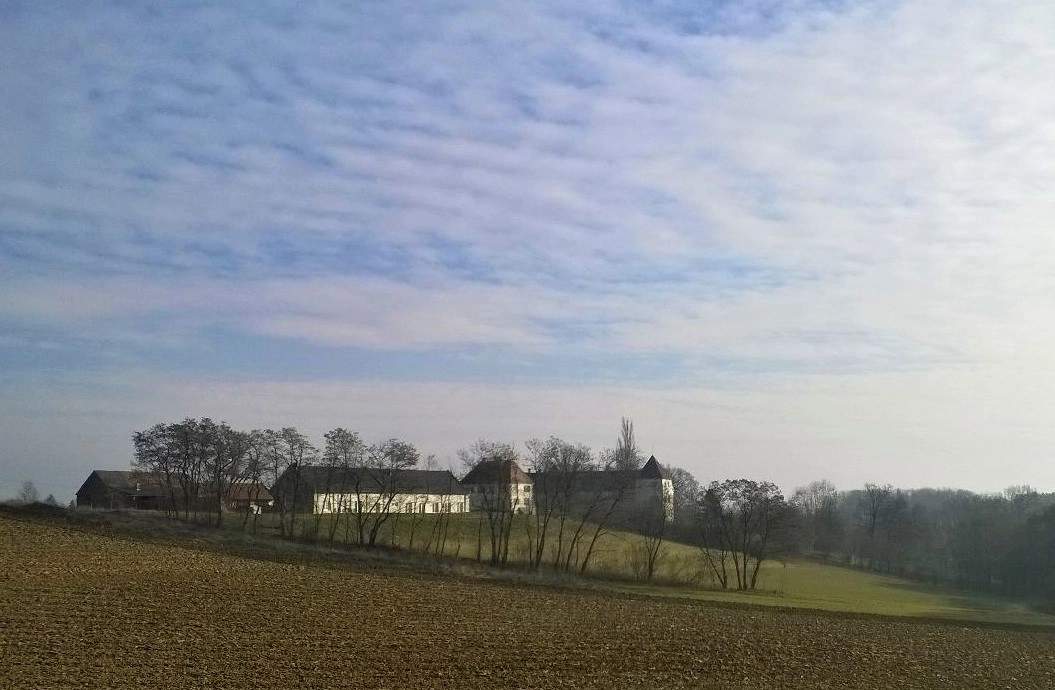 Gutshof Schloss Welsdorf (Provisionsfrei)