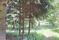 Großes Grundstück mit Fischteich und Badeteich, Erholungsanlage, Freizeitparadies mit viel Potenzial